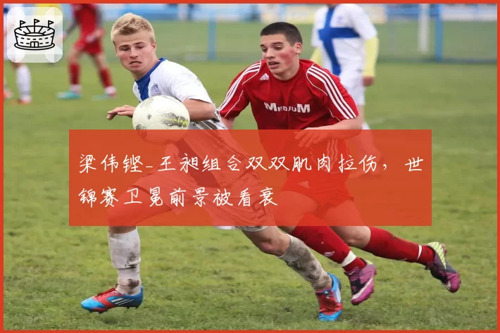 梁伟铿_王昶组合双双肌肉拉伤，世锦赛卫冕前景被看衰