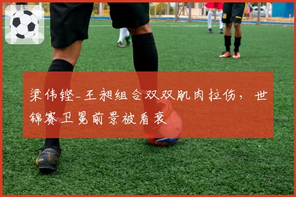 梁伟铿_王昶组合双双肌肉拉伤，世锦赛卫冕前景被看衰