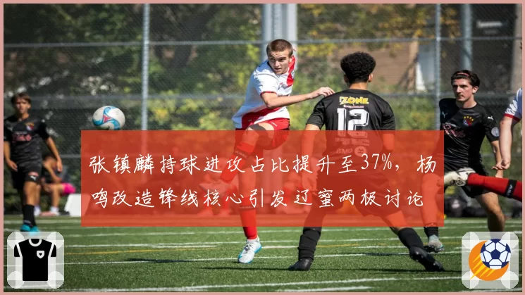张镇麟持球进攻占比提升至37%，杨鸣改造锋线核心引发辽蜜两极讨论