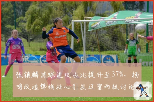 张镇麟持球进攻占比提升至37%，杨鸣改造锋线核心引发辽蜜两极讨论