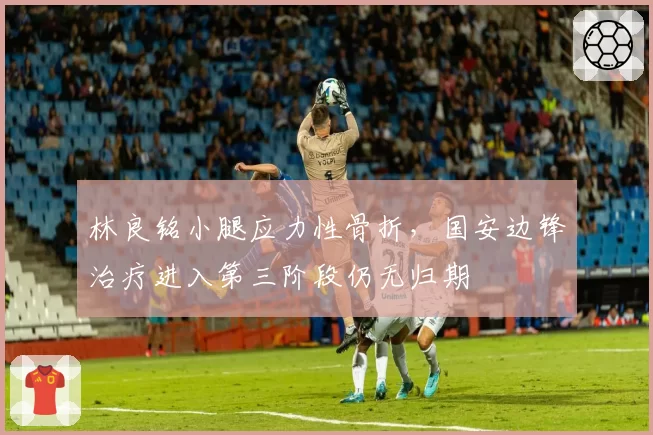 林良铭小腿应力性骨折,国安边锋治疗进入第三阶段仍无归期